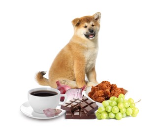 Image of Cute Akita Inu puppy and group of different products toxic for dog on white background