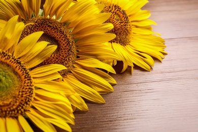 Photo of Beautiful bright sunflowers on wooden background, closeup