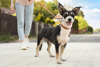 Photo of Woman walking her cute dog on city street, closeup