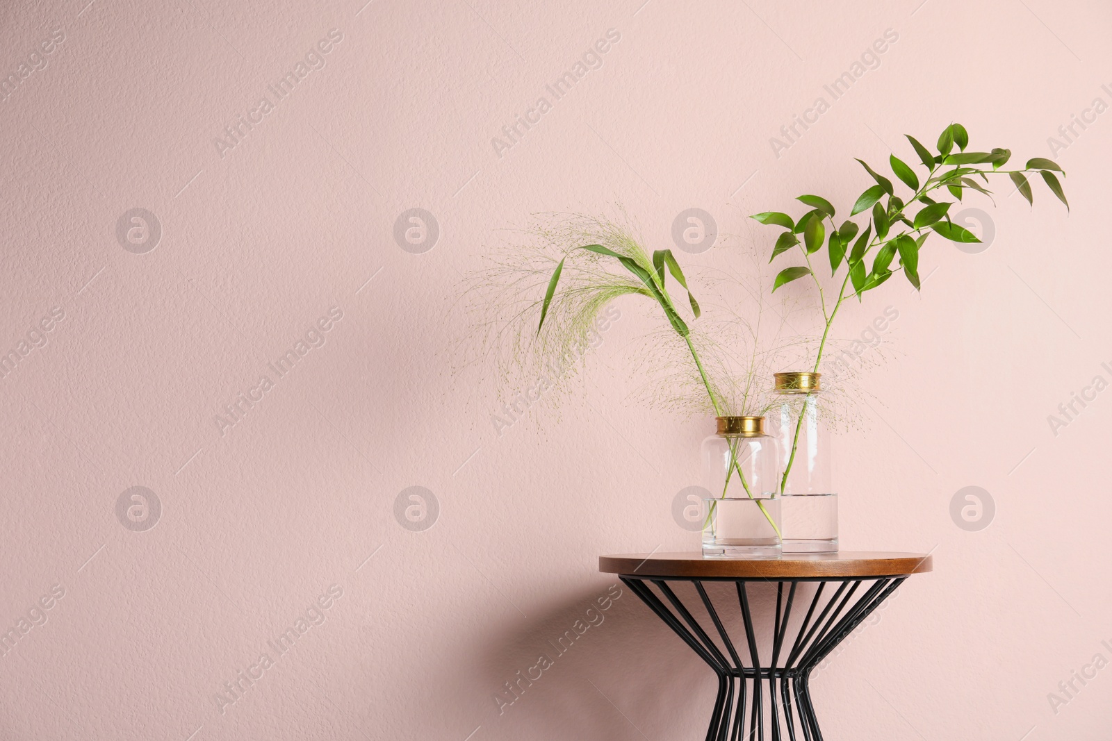 Photo of Glass vases with green branches on table near pink wall. Space for text