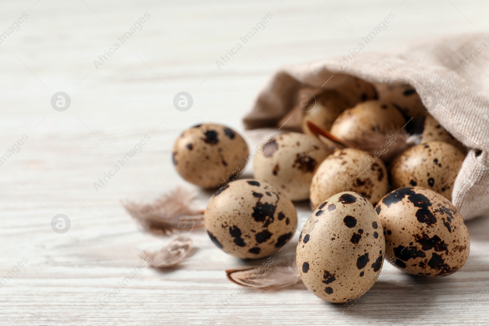 Photo of Fresh quail eggs and feathers on white wooden table, closeup. Space for text
