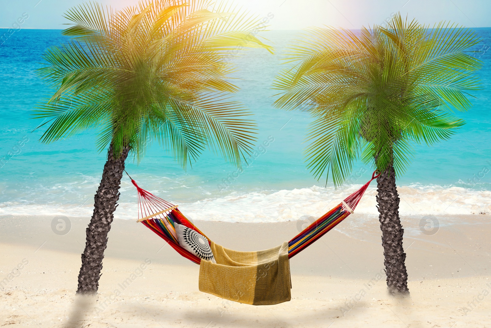 Image of Hammock between palms at sandy beach near sea on sunny day