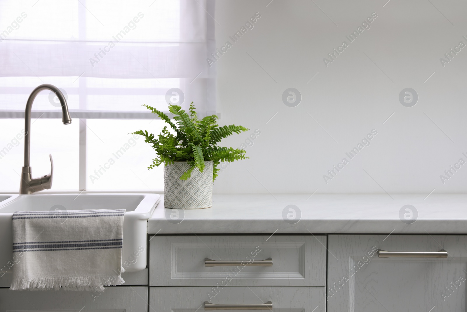 Photo of Beautiful green fern on white countertop near sink in kitchen. Space for text