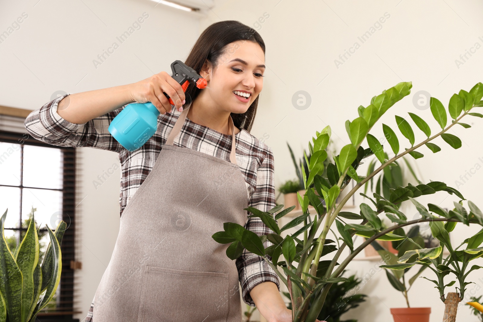 Photo of Young woman spraying plant with water at home