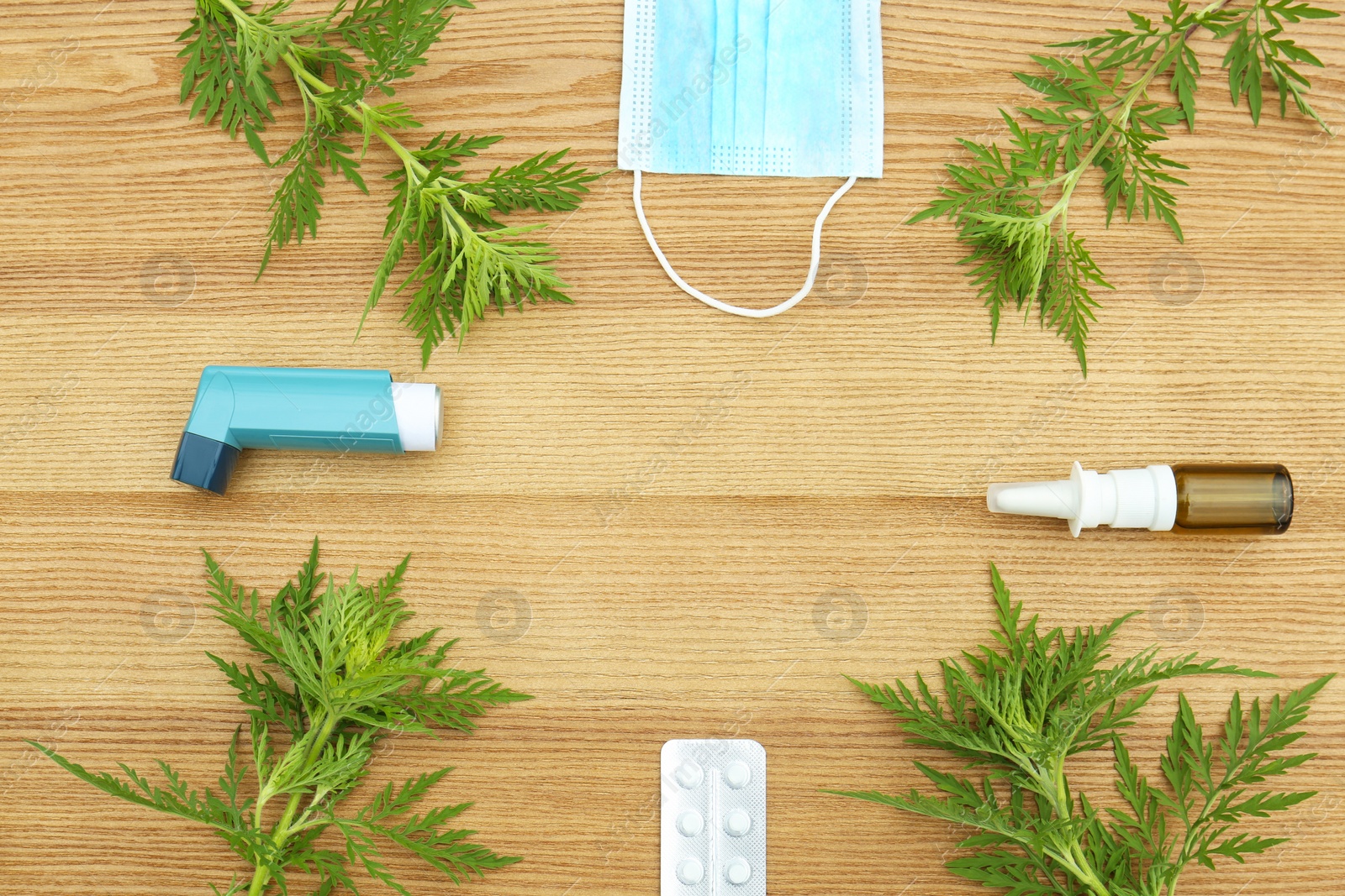 Photo of Flat lay composition with ragweed plant (Ambrosia genus) on wooden background, space for text. Seasonal allergy