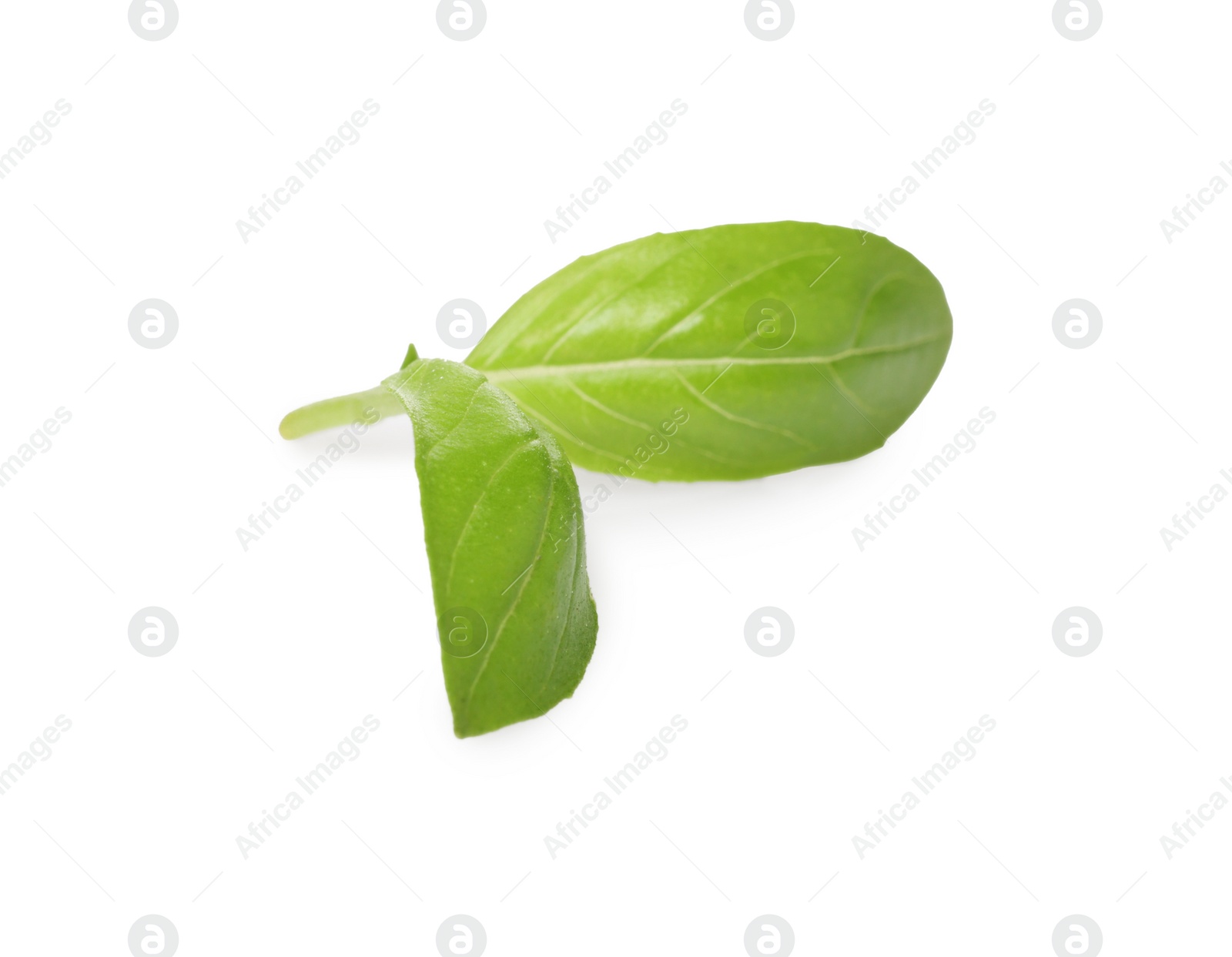 Photo of Green basil leaves isolated on white, top view