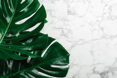 Photo of Beautiful monstera leaves on white marble background, flat lay with space for text. Tropical plant