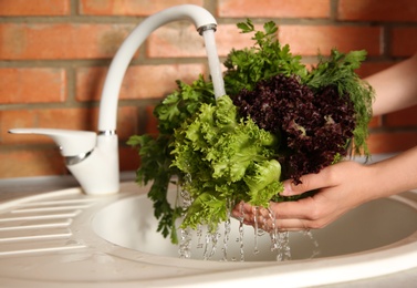 Woman washing fresh lettuce, parsley and dill in kitchen sink, closeup