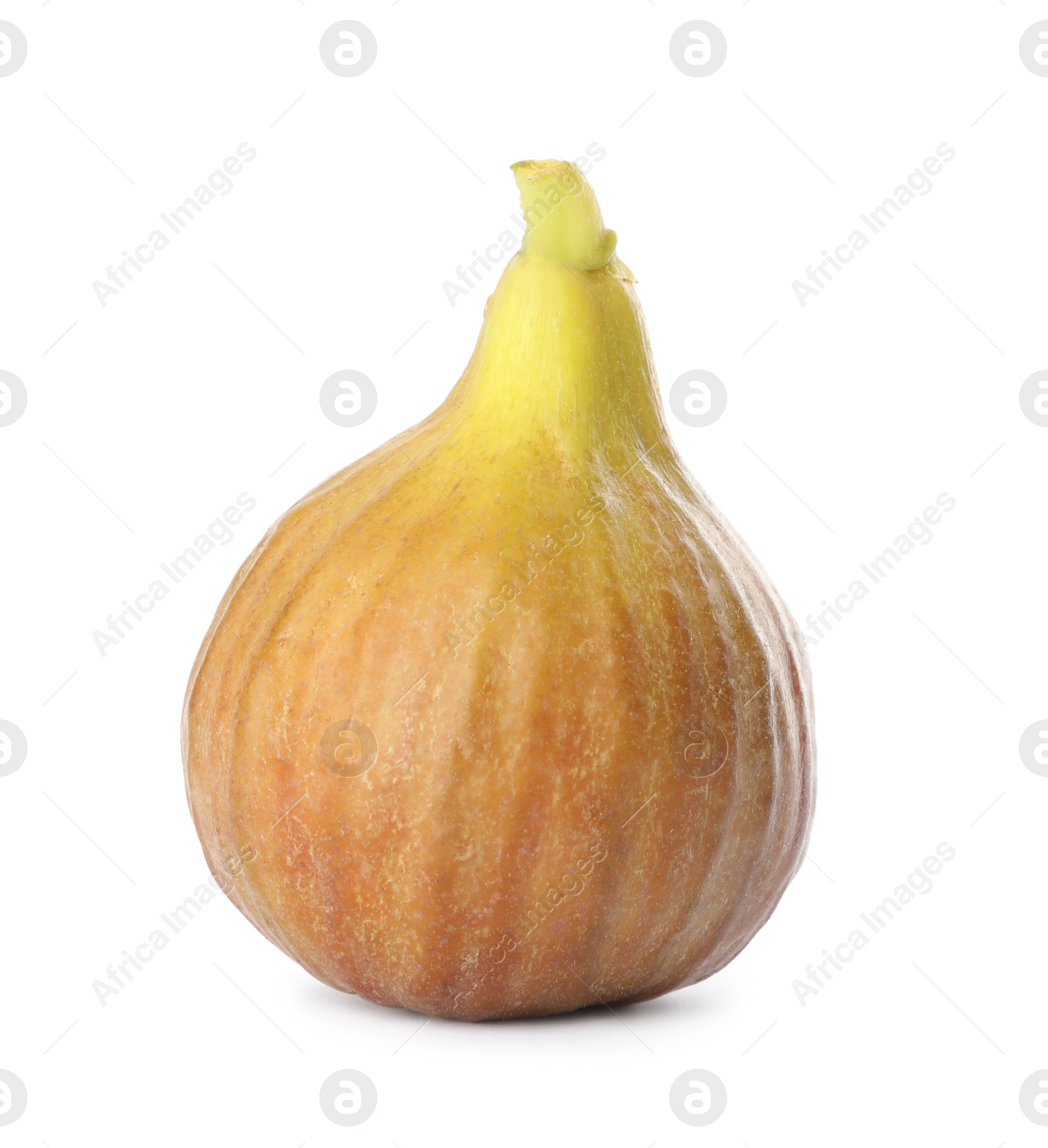 Photo of Whole tasty ripe fig isolated on white