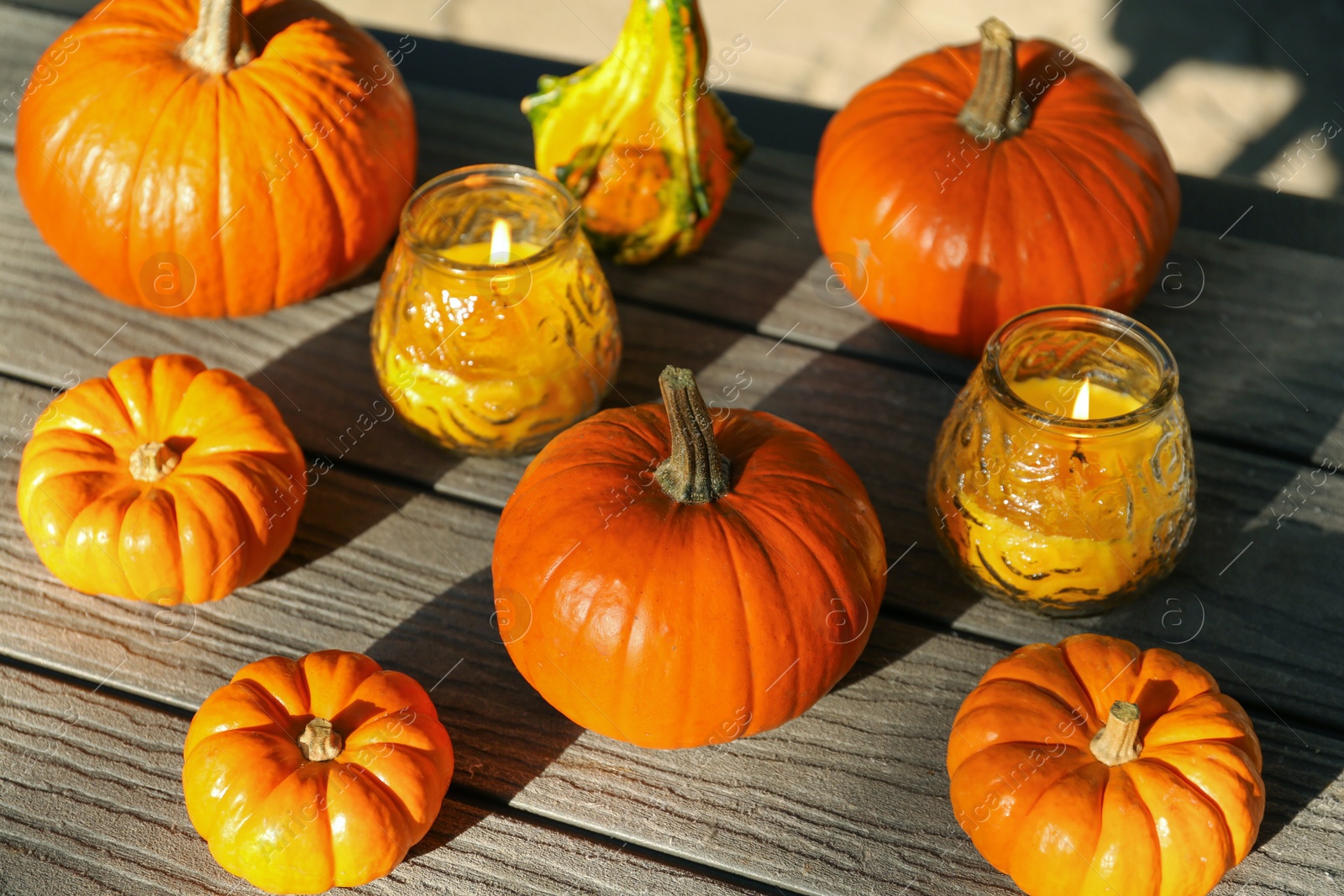 Photo of Many whole ripe pumpkins and candles on wooden table outdoors