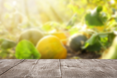 Image of Empty wooden surface and blurred view of juicy melons growing in field. Space for text