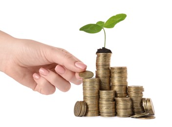 Woman putting coin onto stack with green plant on white background, closeup