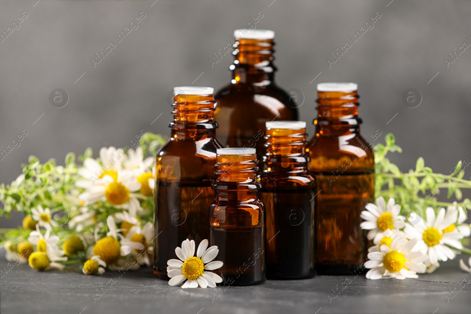 Photo of Bottles with essential oils, chamomile and thyme on grey textured table, closeup