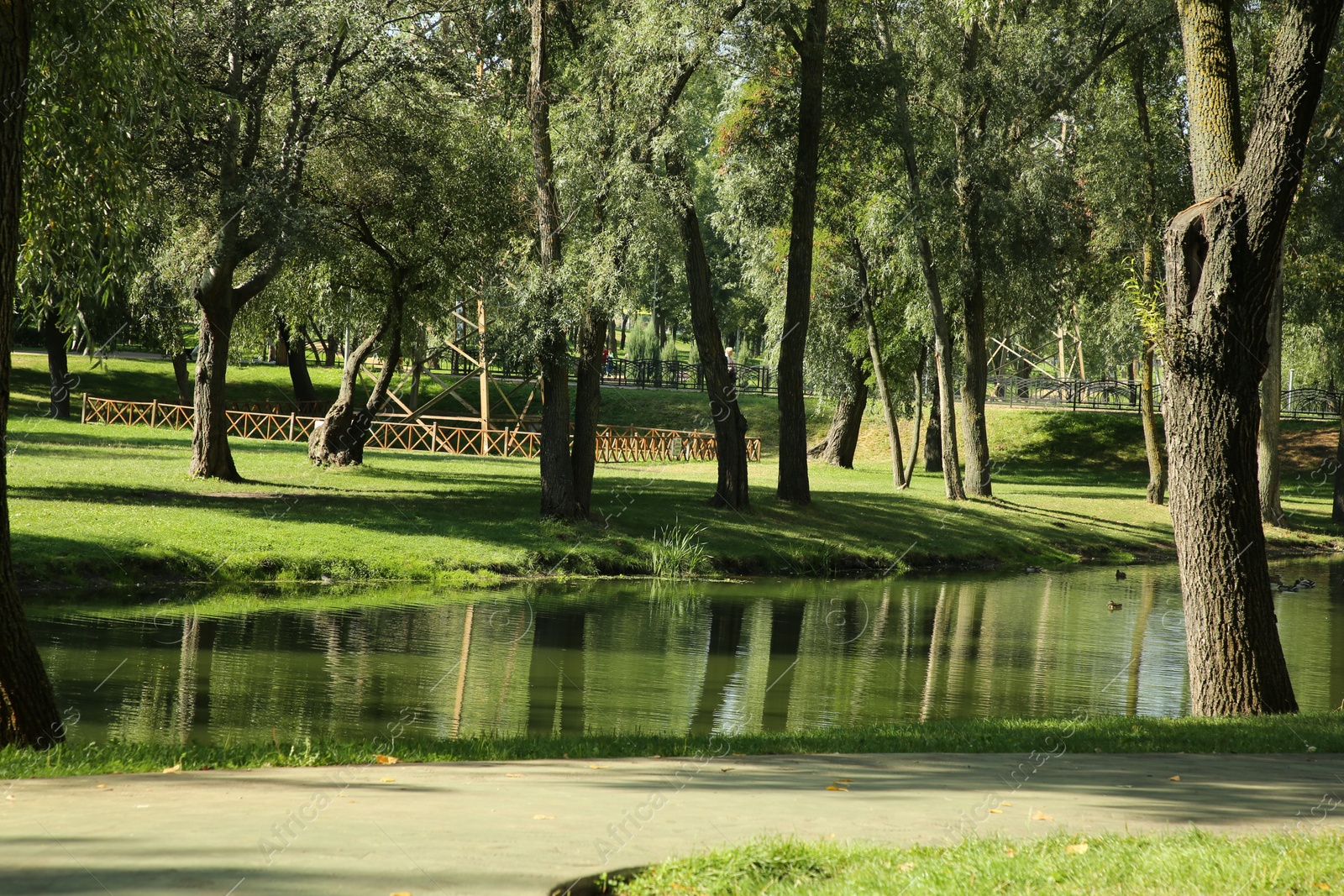 Photo of Quiet park with green trees and pond on sunny day