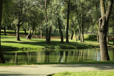 Quiet park with green trees and pond on sunny day