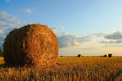 Photo of Beautiful view of agricultural field with hay bale