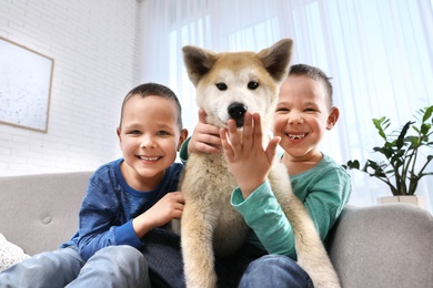 Photo of Happy boys with Akita Inu dog on sofa in living room. Little friends
