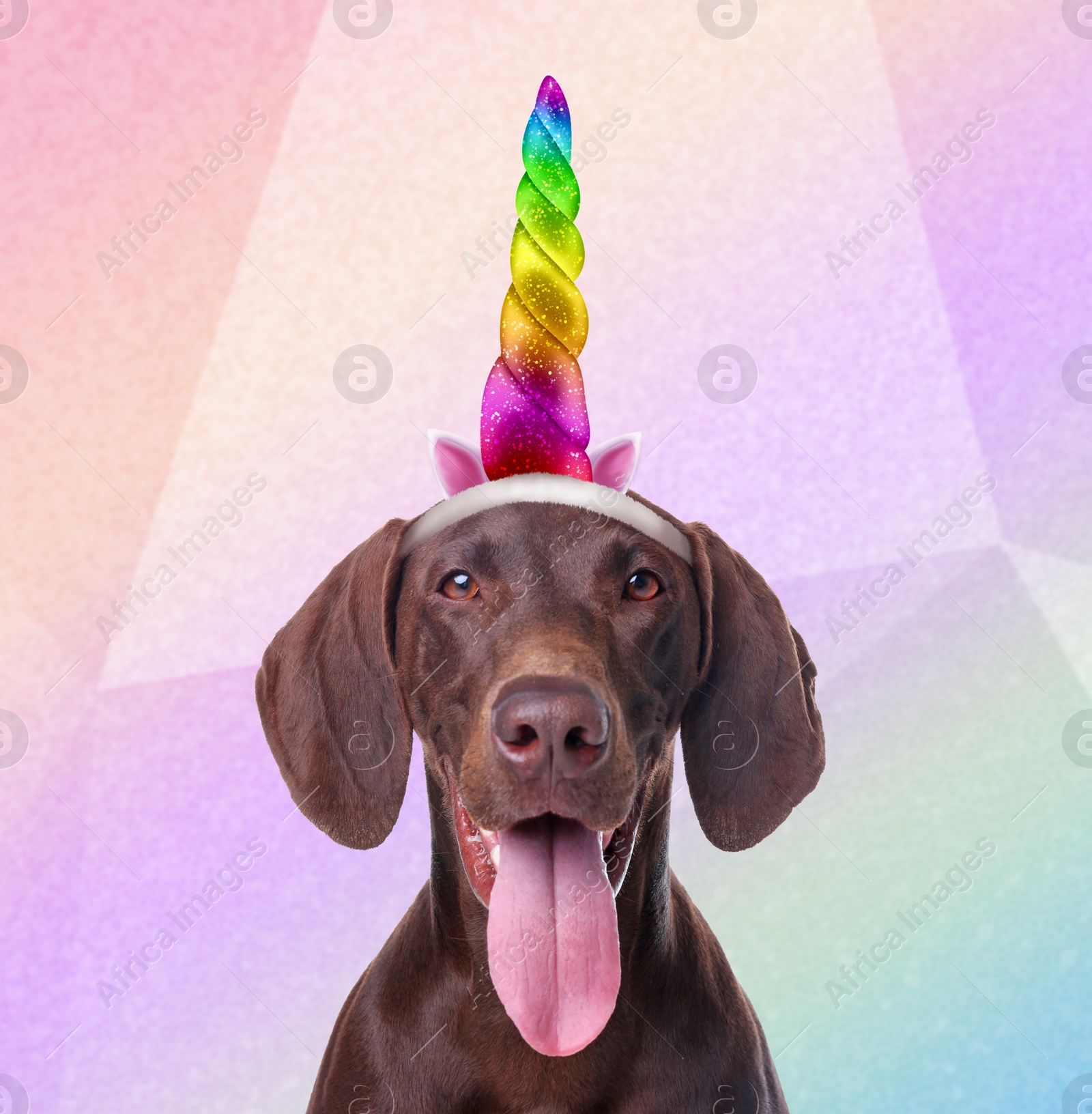 Image of Cute dog with horn and ears headband on blurred color background