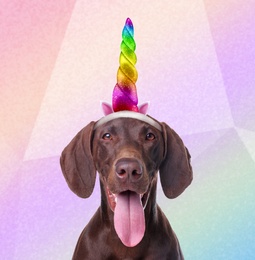 Cute dog with horn and ears headband on blurred color background