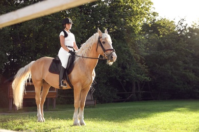 Photo of Young woman in equestrian suit riding horse outdoors on sunny day. Beautiful pet