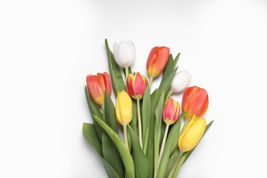 Beautiful colorful tulip flowers on white background, flat lay