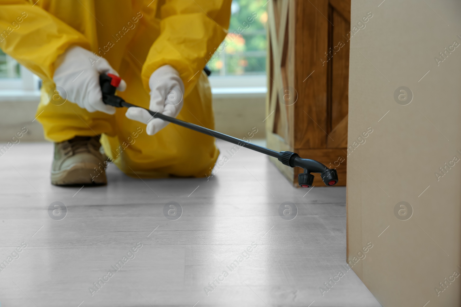 Photo of Pest control worker spraying pesticide indoors, closeup