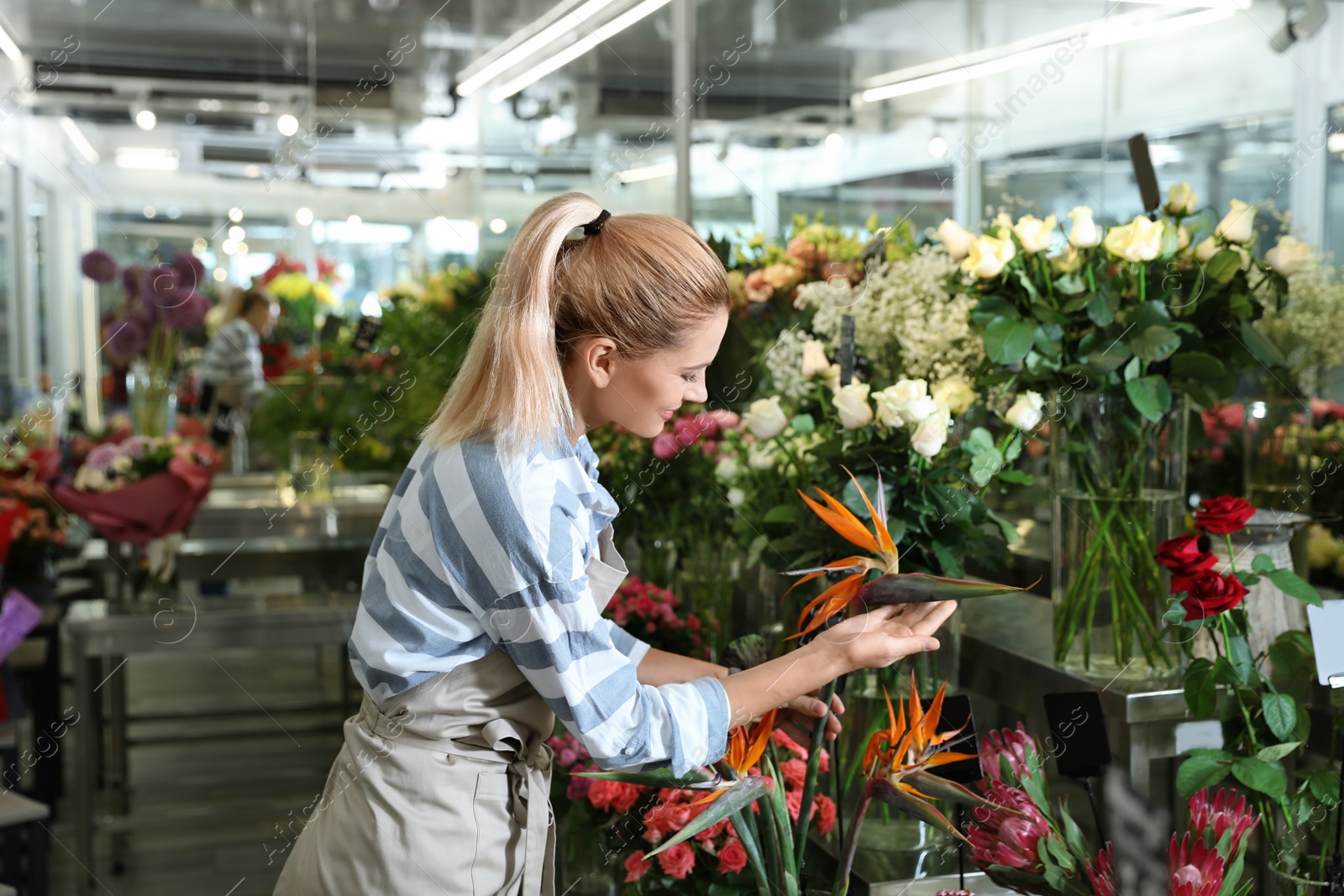 Photo of Beautiful female florist working in flower shop