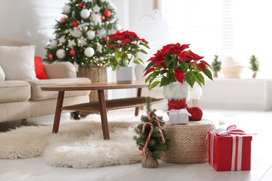 Photo of Beautiful poinsettia, decorative tree and gift boxes indoors, space for text. Traditional Christmas flower