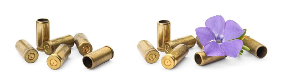 Image of Set of bullet shells and beautiful flower on white background. Banner design