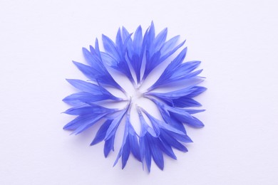 Photo of Beautiful light blue cornflower petals on white background, top view