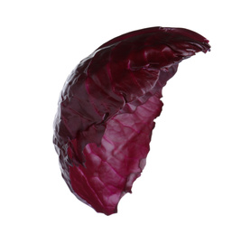 Leaf of red cabbage isolated on white