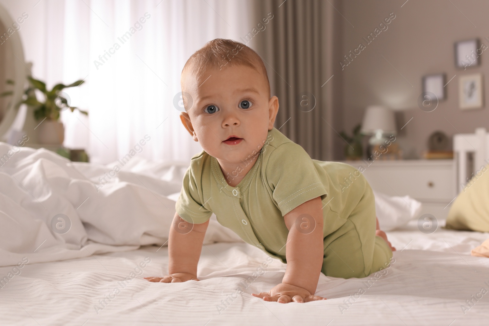 Photo of Cute baby crawling on bed at home