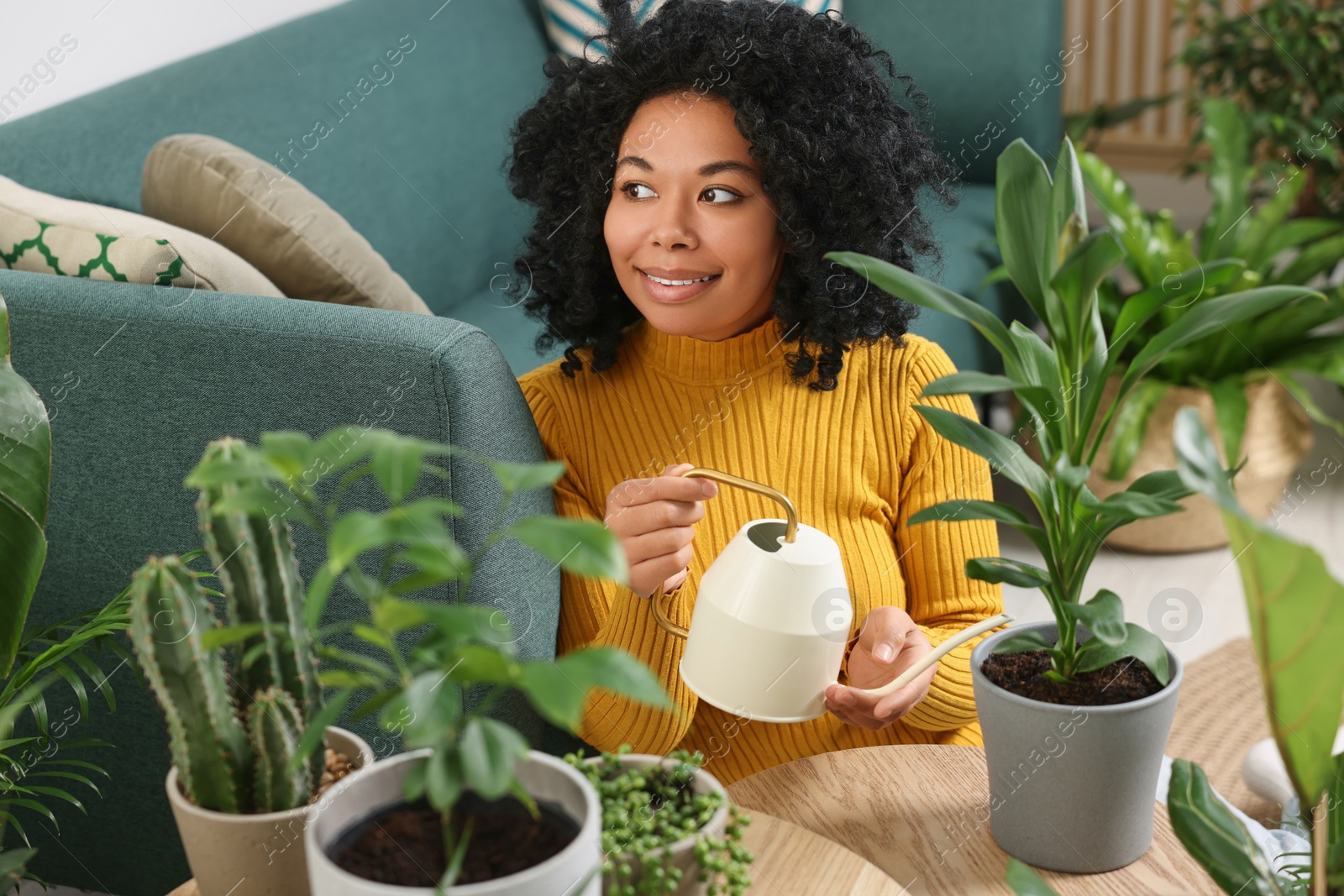 Photo of Woman watering beautiful potted houseplant at home