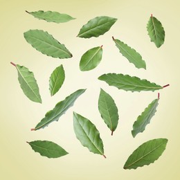 Image of Fresh bay leaves falling on pale golden background