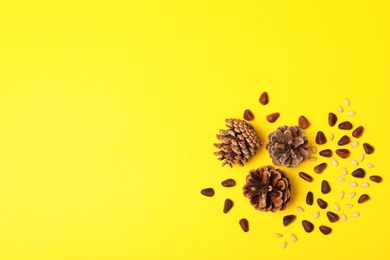 Photo of Flat lay composition with pine nuts and space for text on color background