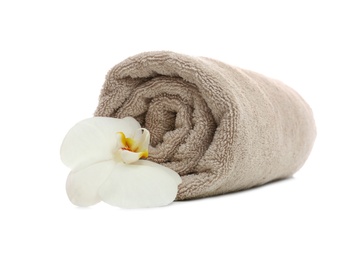 Photo of Clean rolled towel with flower on white background