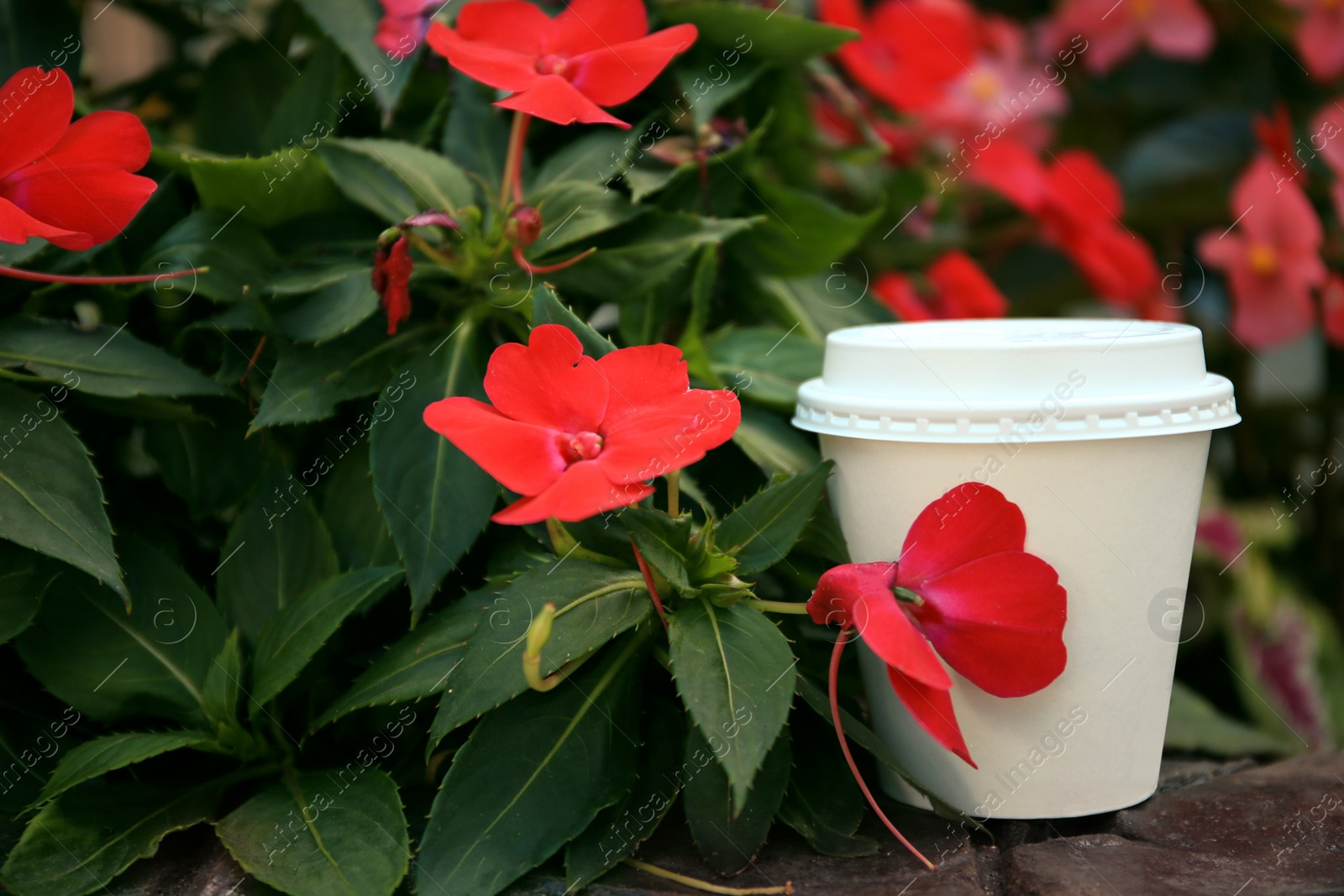 Photo of Cardboard cup with tasty coffee near beautiful flowers outdoors