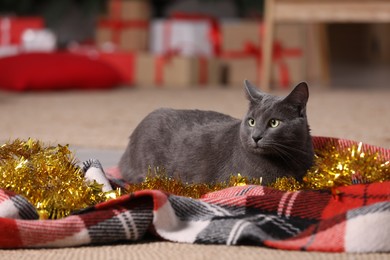 Cute cat with colorful tinsel and Christmas lights at home