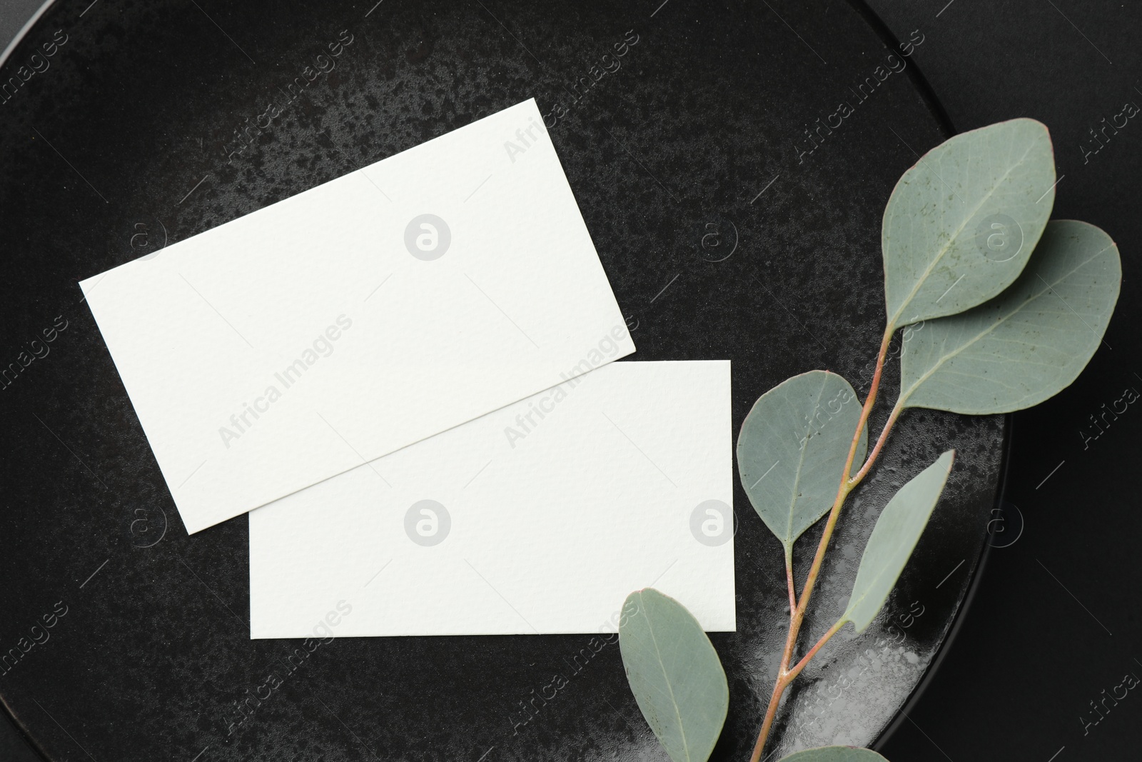 Photo of Blank business cards and eucalyptus branch on black background, flat lay. Mockup for design