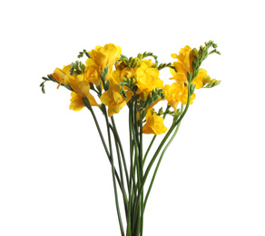 Photo of Bouquet of beautiful yellow freesia flowers on white background