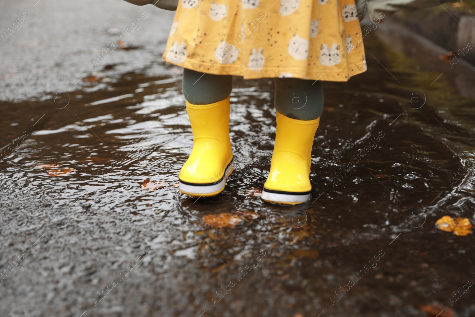 Photo of Little girl wearing yellow rubber boots standing in puddle outdoors, closeup