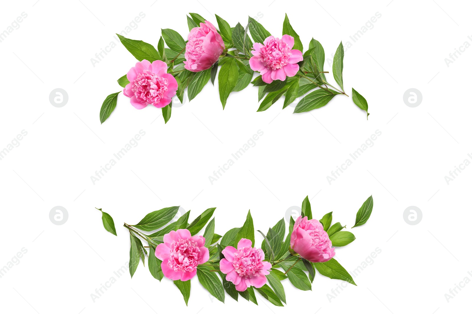 Image of Wreaths made of beautiful flowers on white background