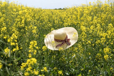 Field with beautiful blooming rapeseed flowers and hat