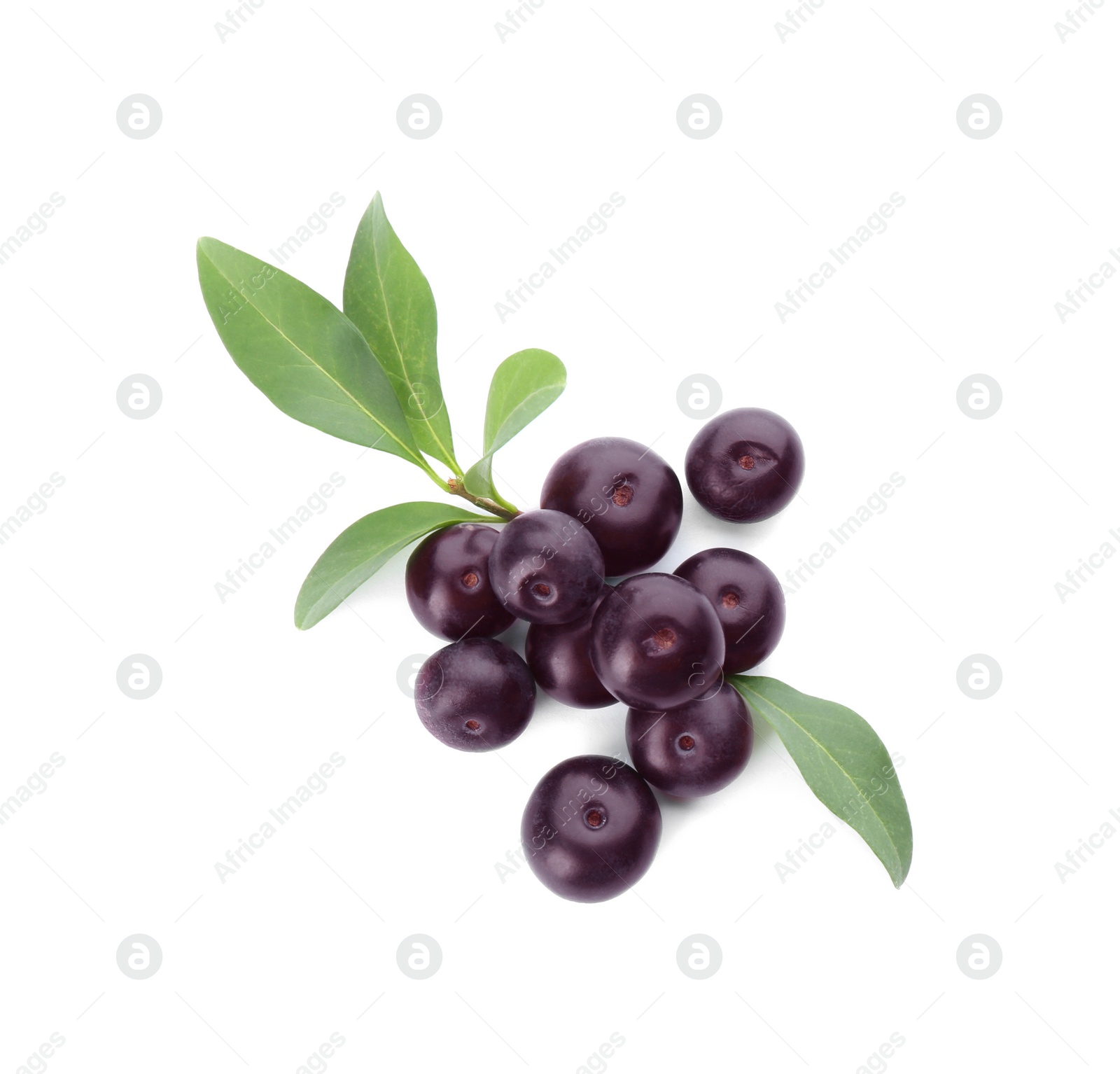 Photo of Pile of fresh acai berries with leaves isolated on white, top view