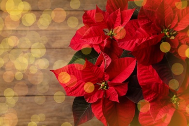 Image of Top view of red poinsettia on wooden background, bokeh effect. Christmas traditional flower