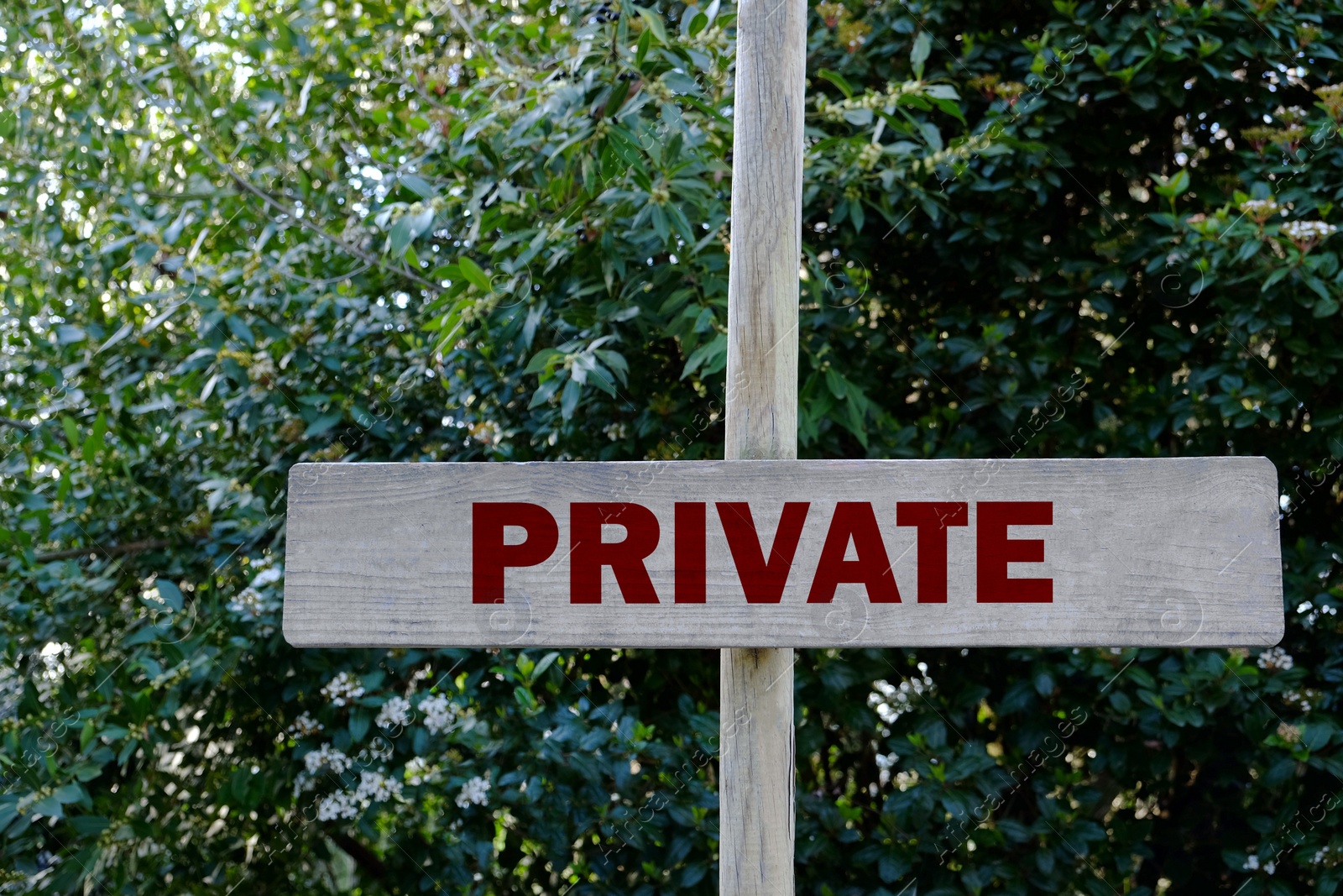 Image of Wooden sign with word Private near green bushes