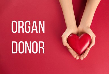 Image of Organ donor. Woman holding heart on red background, top view