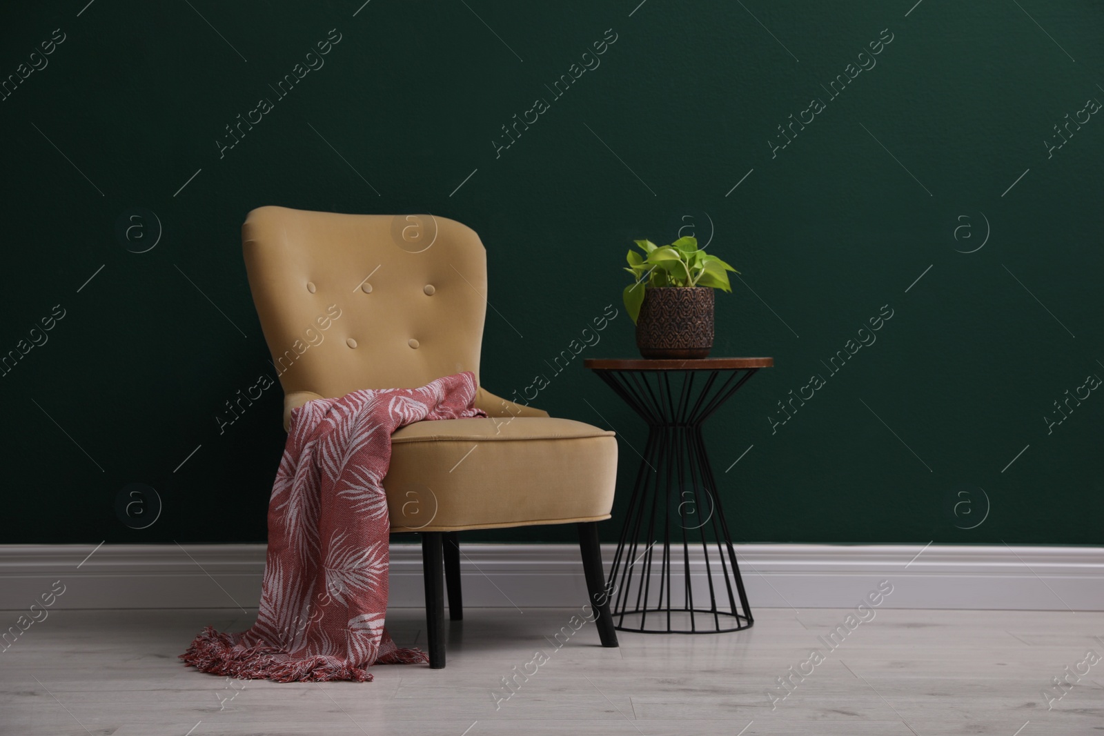 Photo of Comfortable chair and beautiful plant near dark green wall indoors
