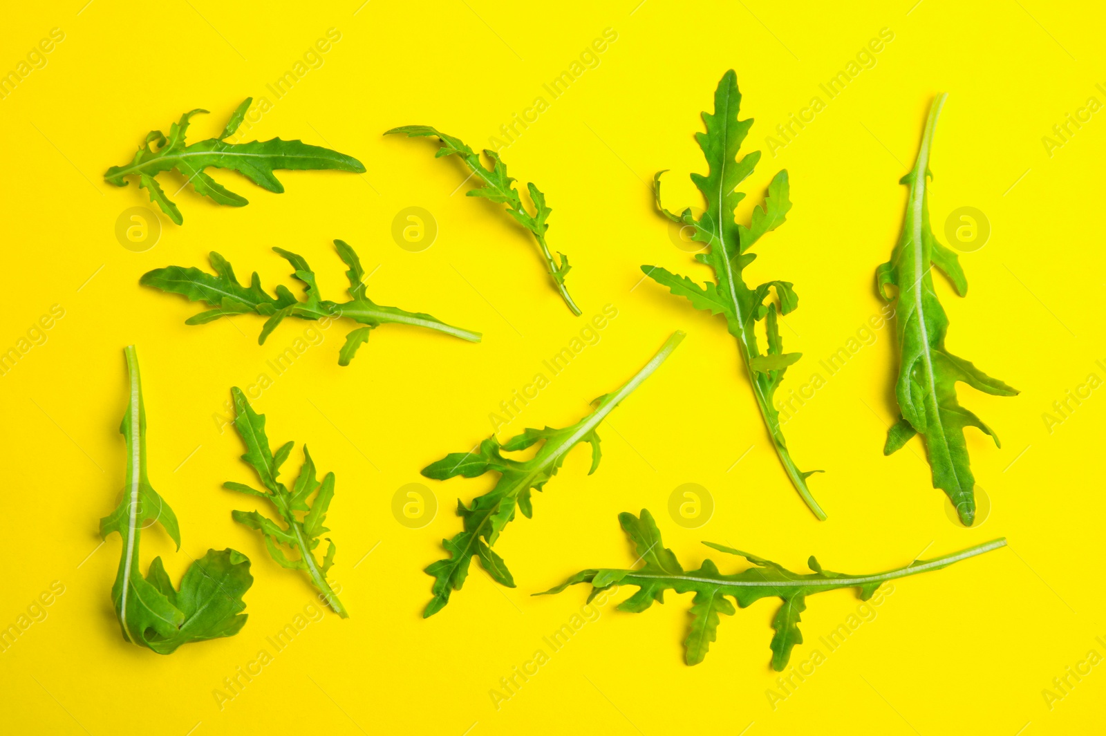 Photo of Fresh arugula on yellow background, flat lay