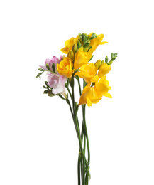 Photo of Beautiful colorful freesia flowers on white background